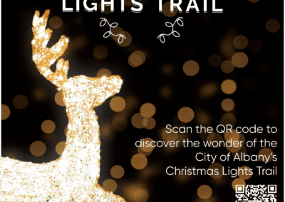 Christmas Lights Trail