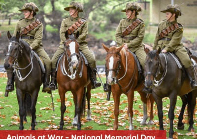 Animals at War – National Memorial Day